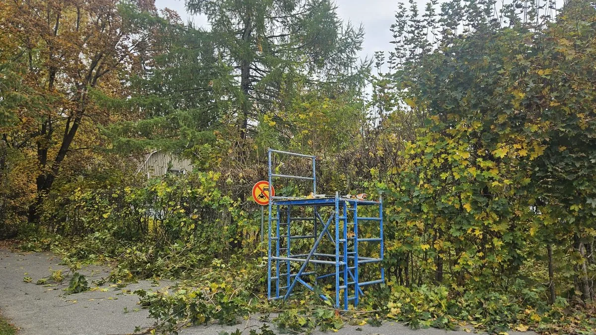 Puiden karsinta telinetyöllä – isommatkin kohteet hoituvat